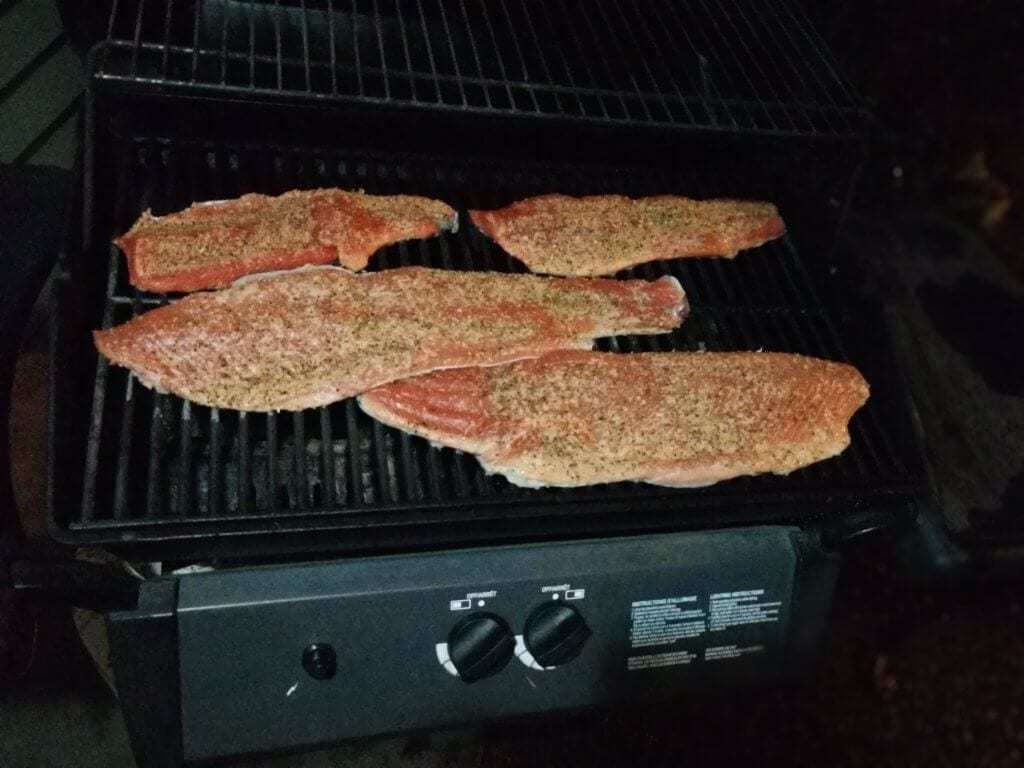 fiskerejser efter Laks, ørred og stør Afslutnings sølvlaks til middag