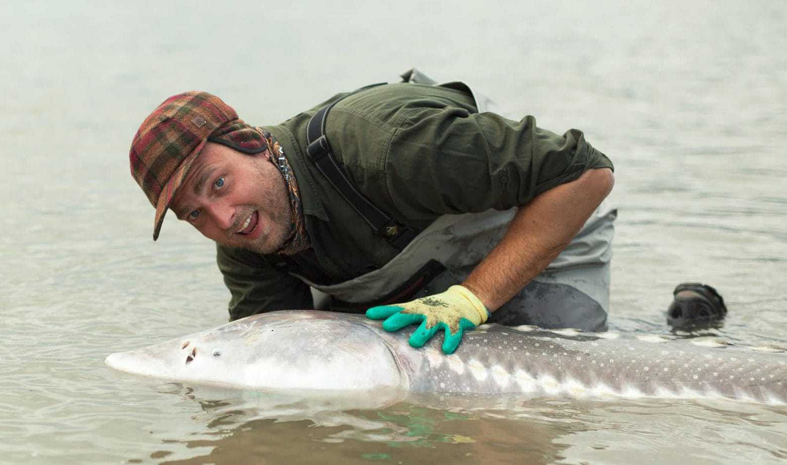 Fiskerejser Stolle med Stør fra Fraser River
