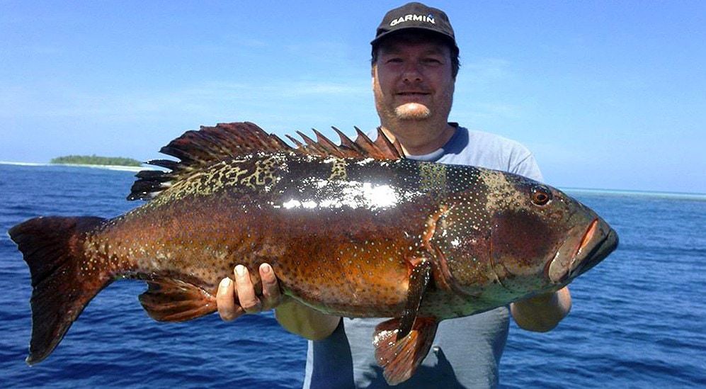 Fiskerejse til Maldiverne