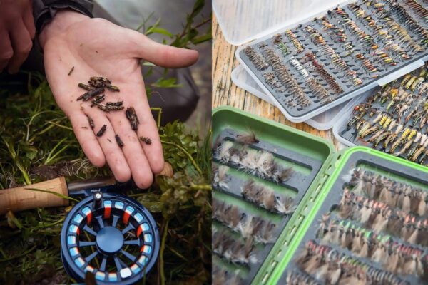 Fiskerejse-til-Bosnien---insekter-og-fluer
