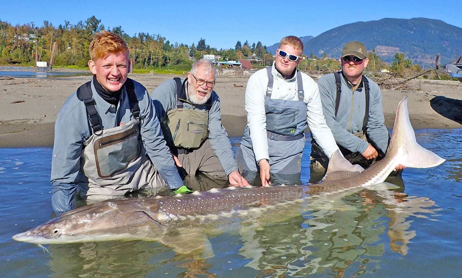 Fiskerejse eftyer laks og Stør i Chilliwack