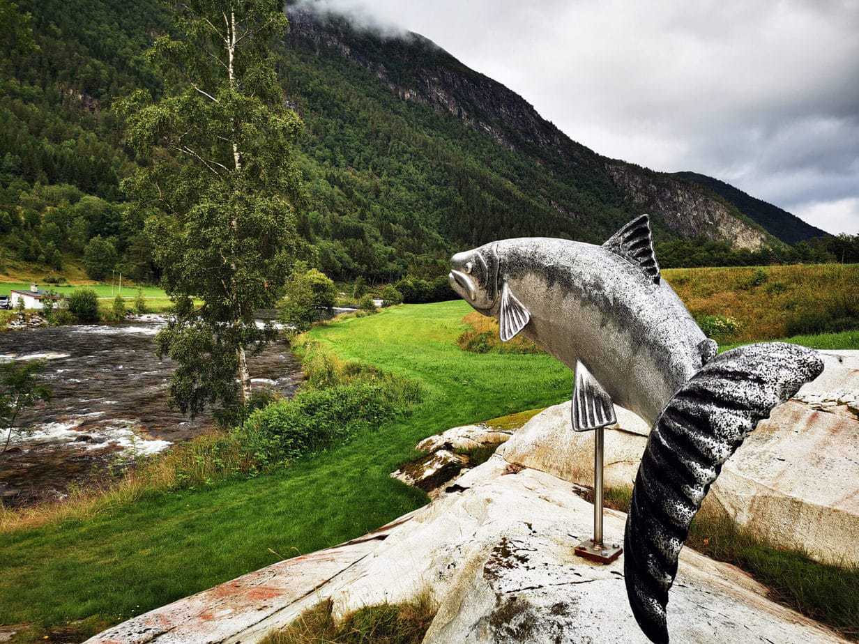 Todalselven i Norge med fiske-eventyr (4)