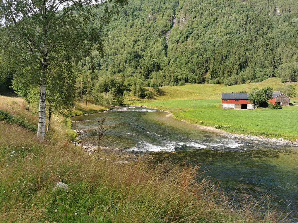 Todalselven i Norge med fiske-eventyr (8)