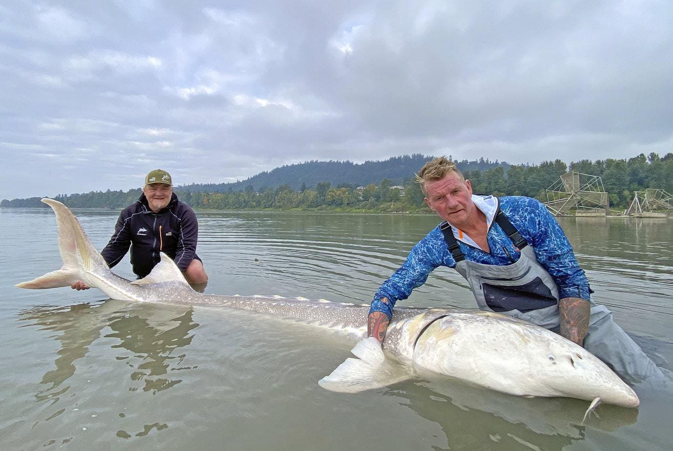 Stør i Canada er Fiskerejse med fiskeeventyr