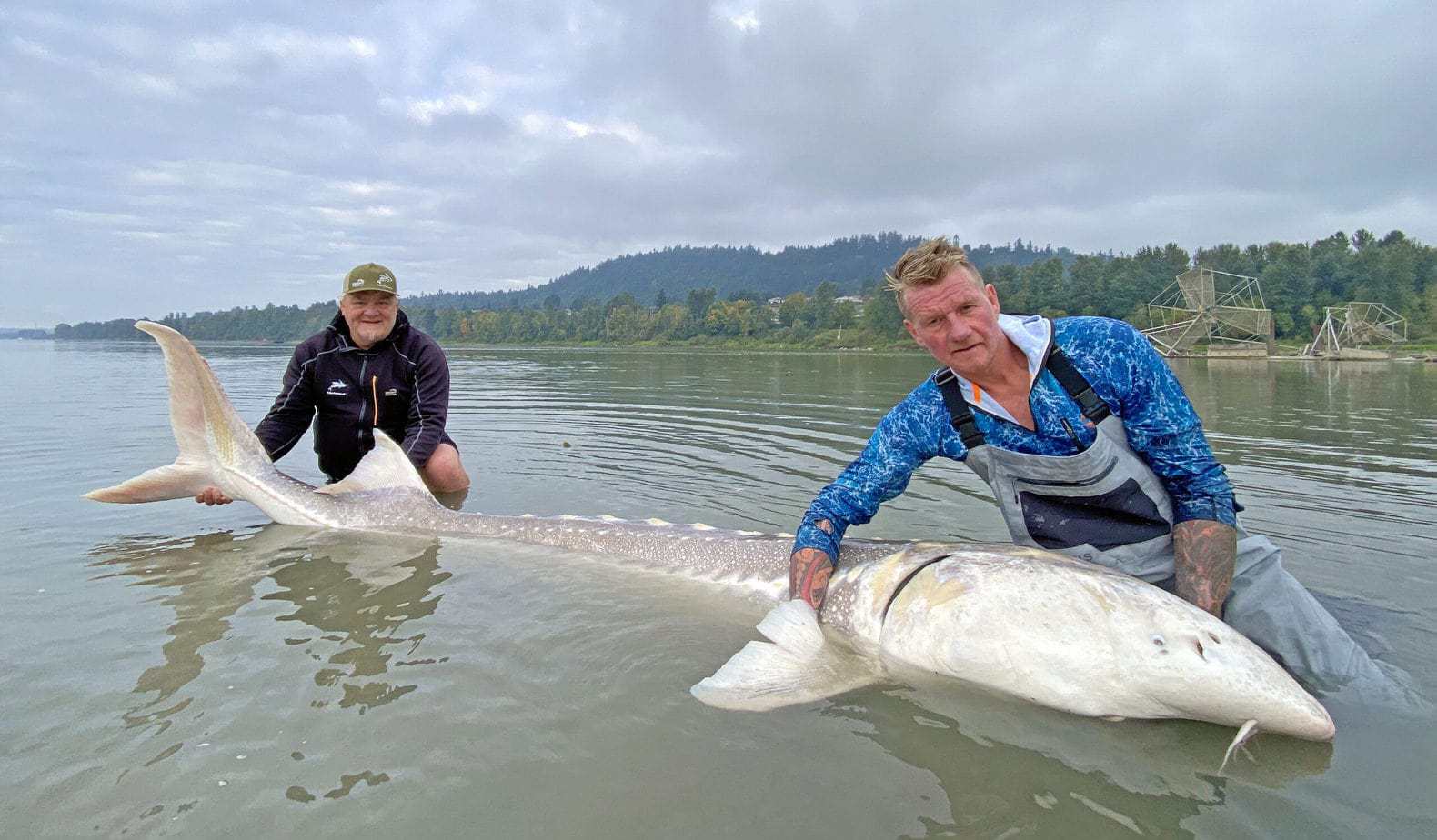 Stør i Canada er Fiskerejse med fiskeeventyr