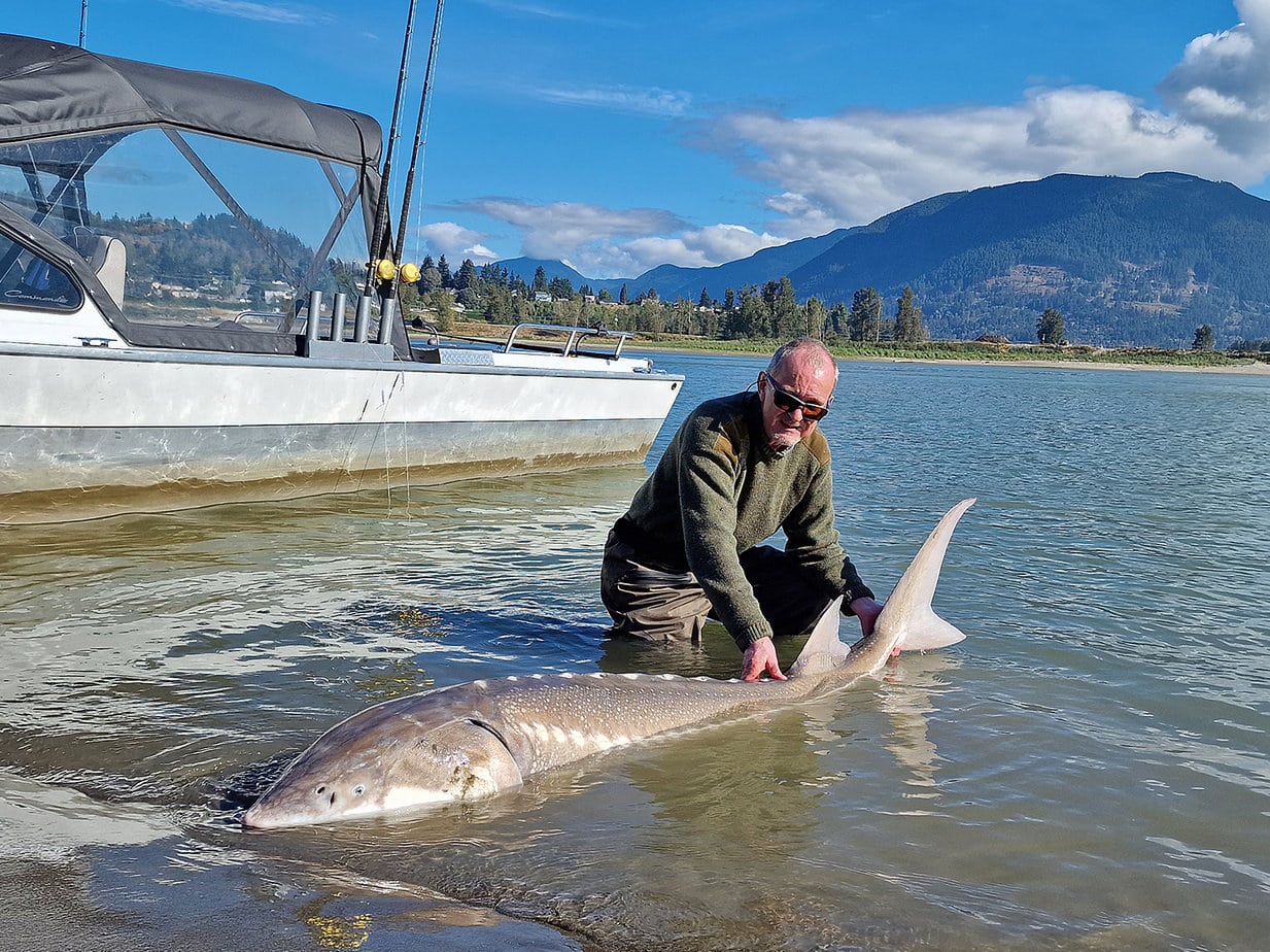 Stør i Canada er Fiskerejse med fiskeeventyr