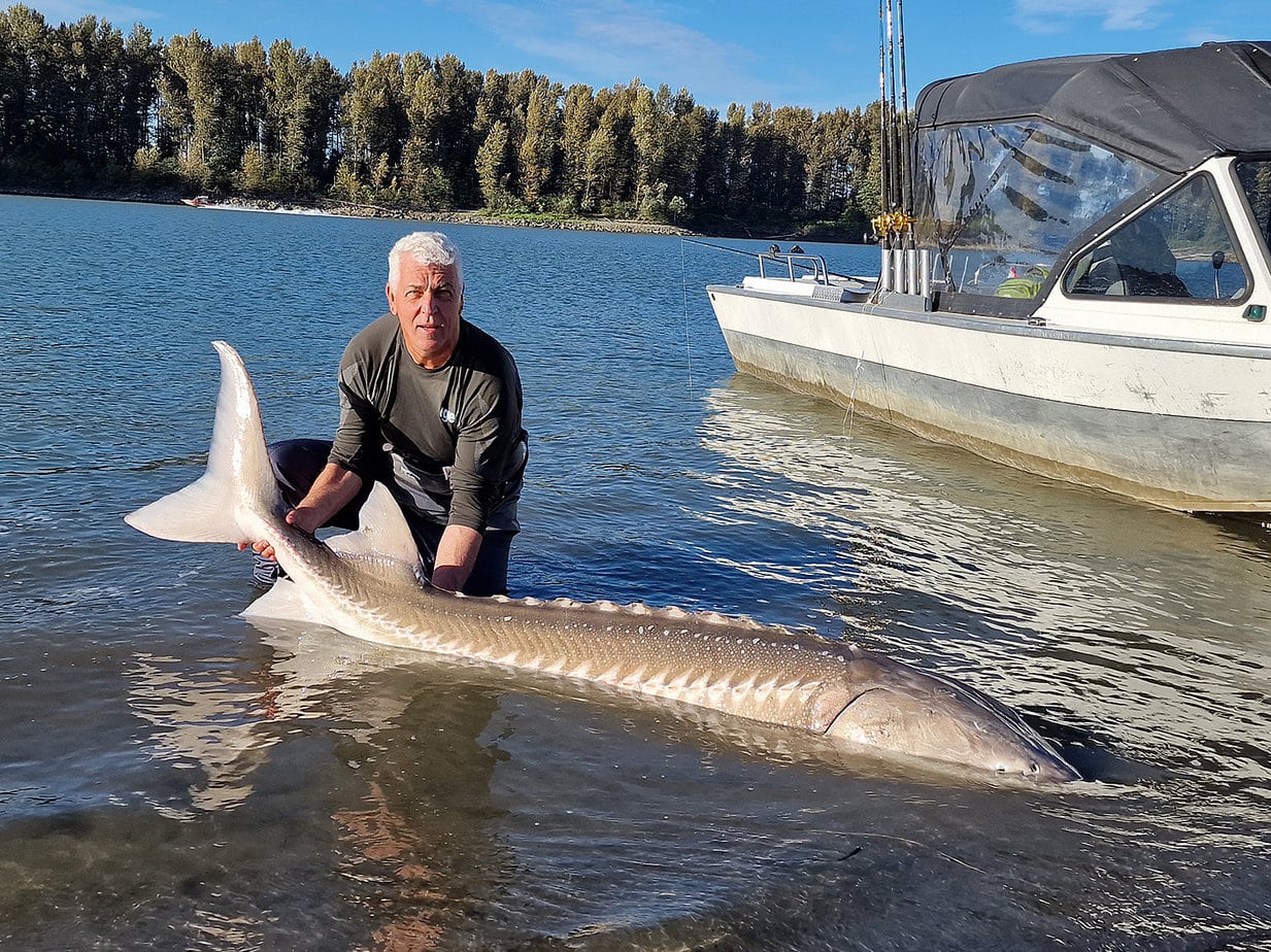 Stør i Canada er Fiskerejse med fiskeeventyr