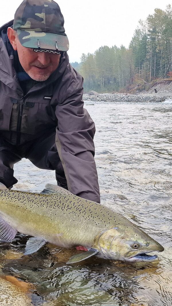 Fiskerejse til Chilliwack efter kongelaks,sølvlaks, Chum og stør med fiskeeventyr