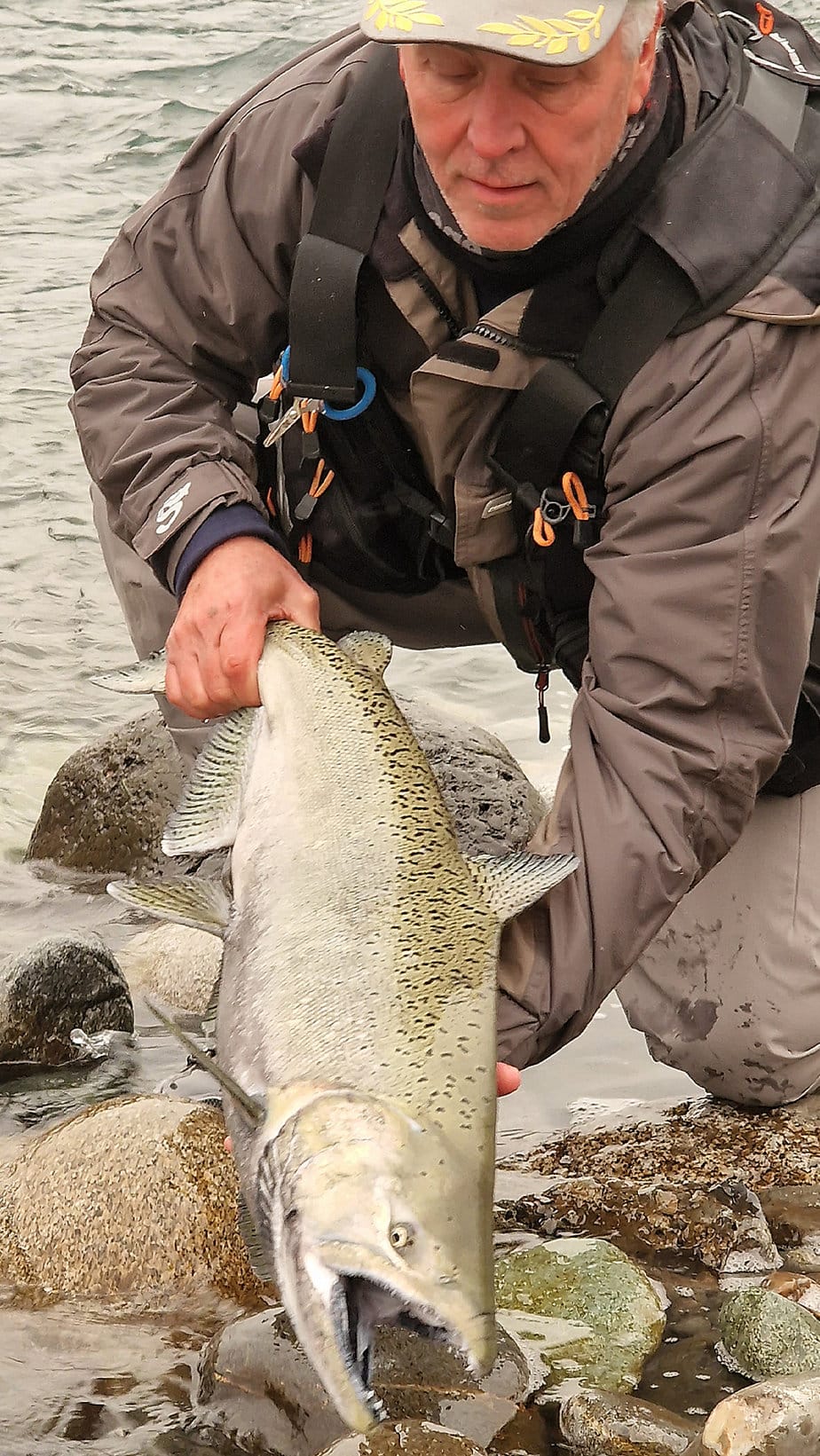 Fiskerejse til Chilliwack efter kongelaks,sølvlaks, Chum og stør med fiskeeventyr