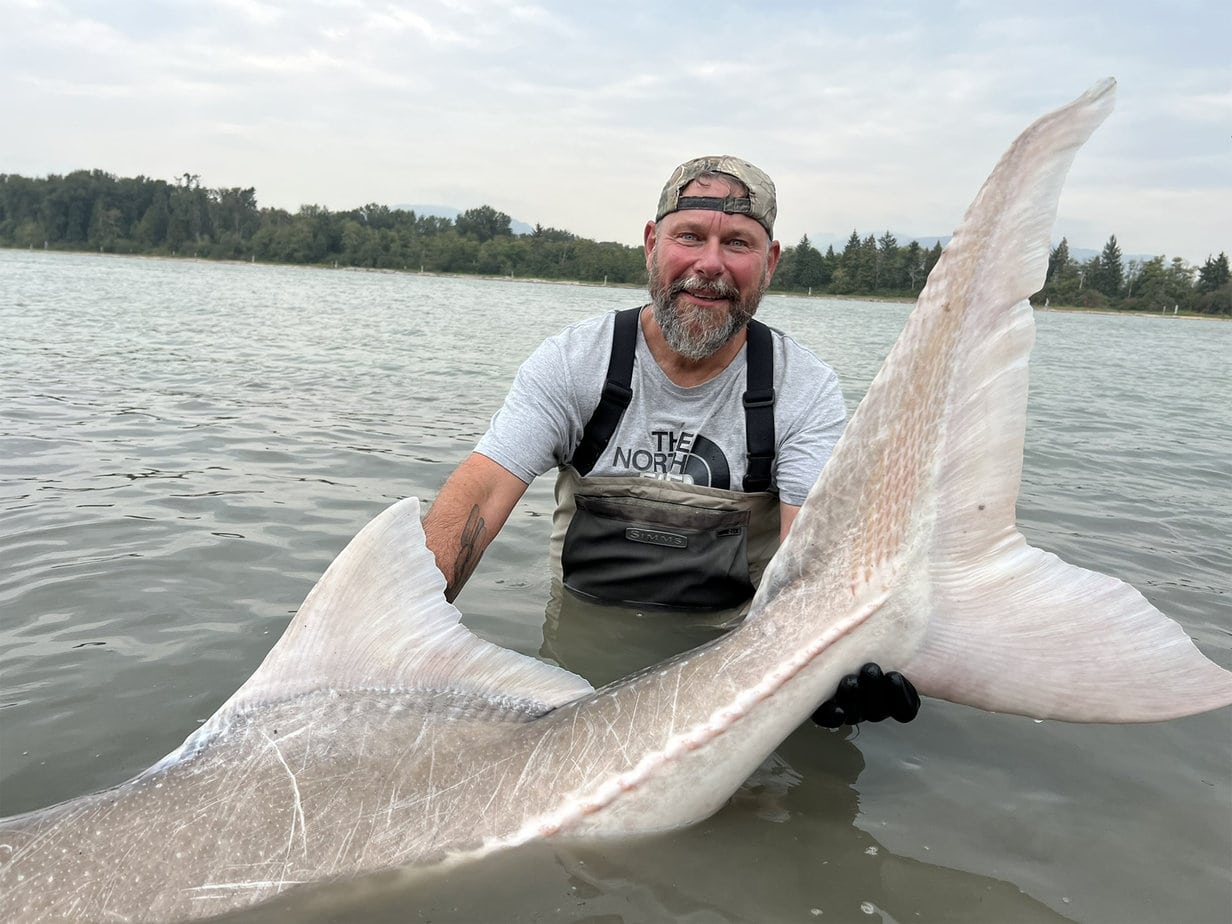 Stør i Canada er Fiskerejse med fiskeeventyr