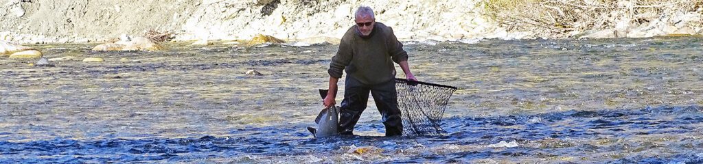 %Fiskerejser efter Laks, ørred og stør% fiskerejser efter Laks, ørred og stør Til checkfront