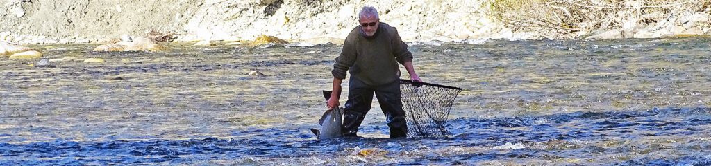 fiskerejser efter Laks, ørred og stør Til checkfront